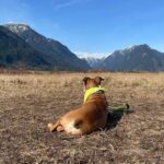 Floriana Lima Instagram - Another day, another BC Adventure. Pitt River