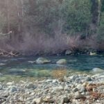 Floriana Lima Instagram - We’re BC living 🏞 Golden Ears Lower Falls Trail
