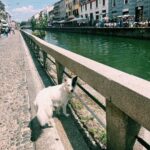 Floriana Lima Instagram - Ti amo Milano🫶🏽 Milan, Italy