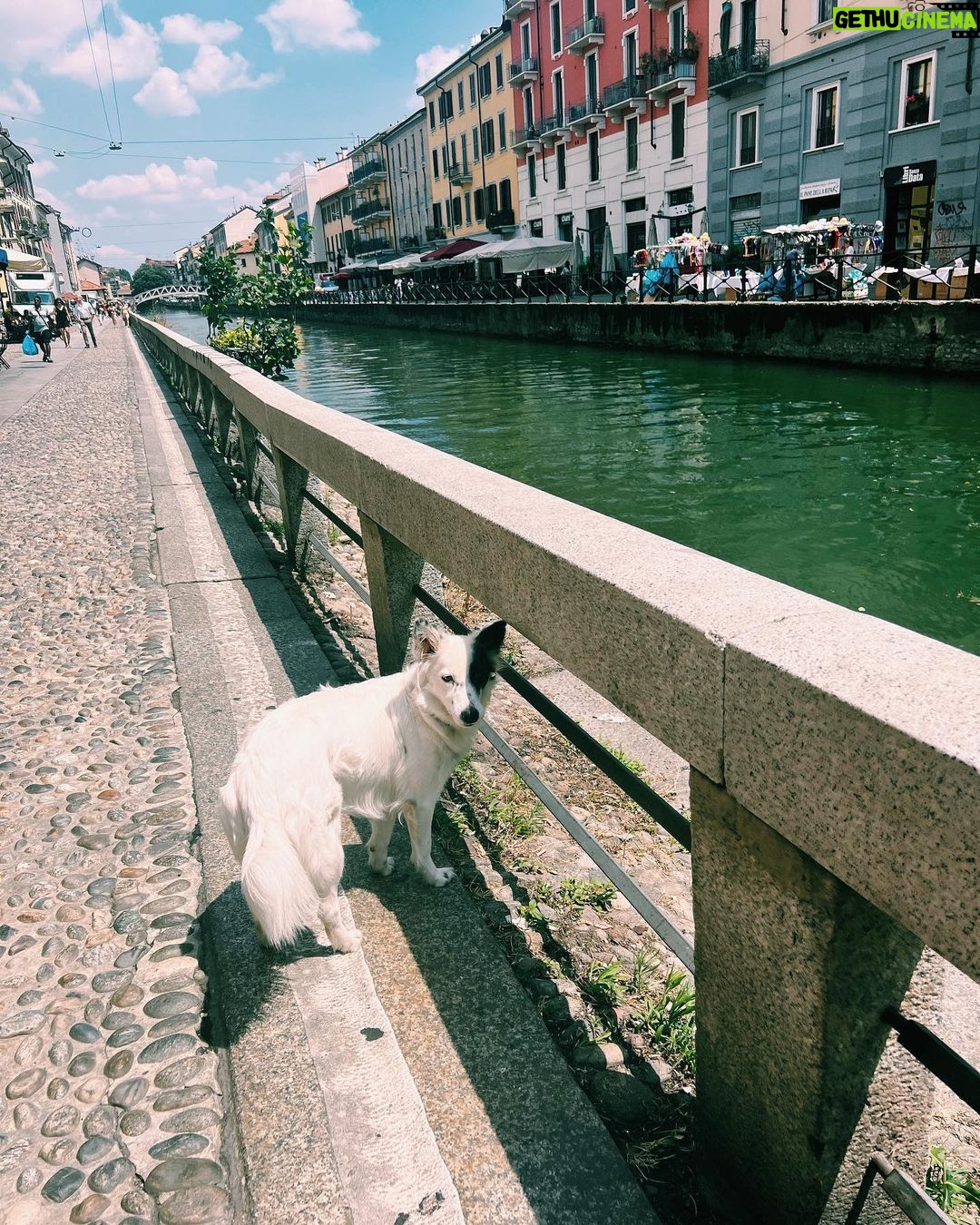 Floriana Lima Instagram - Ti amo Milano🫶🏽 Milan, Italy