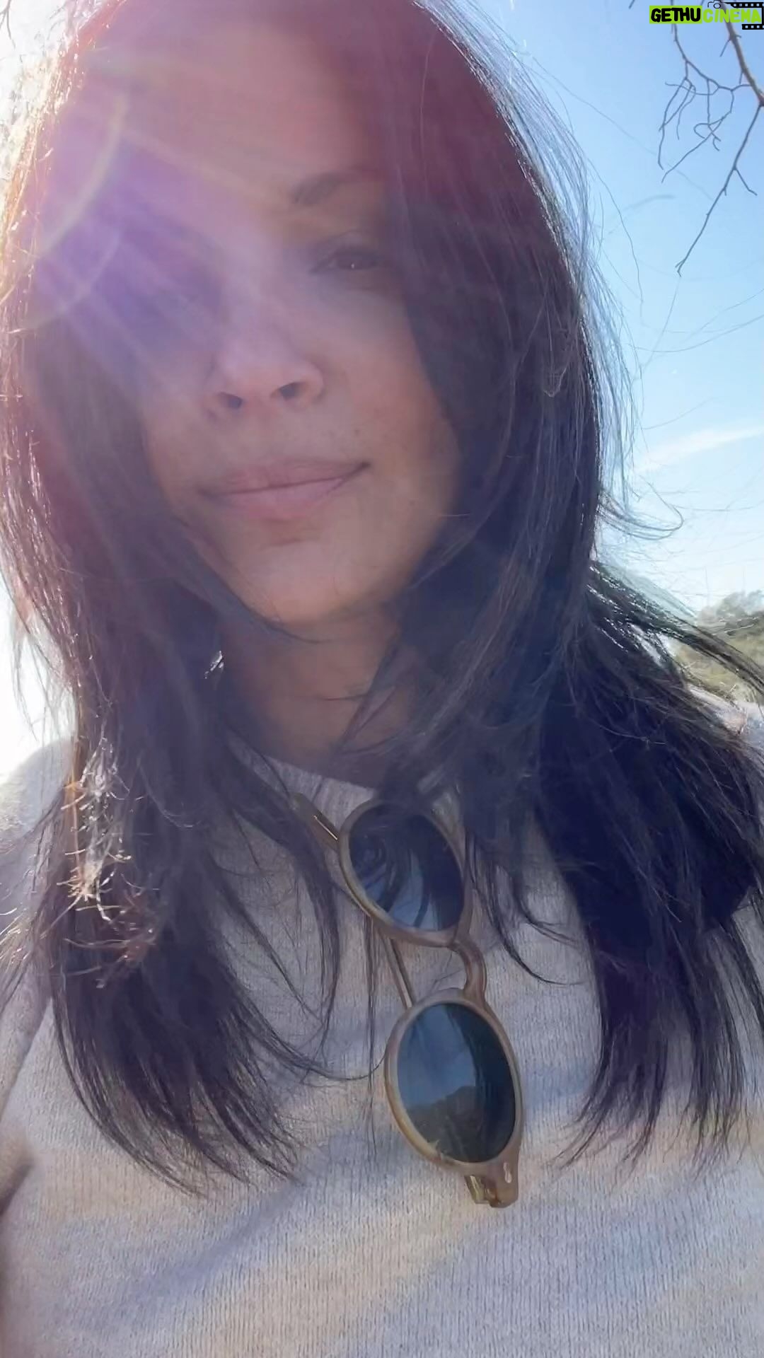 Floriana Lima Instagram - A little nature walk with Belly🌾