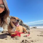 Floriana Lima Instagram - Two best friends hit the beach🤍 Malibu, California