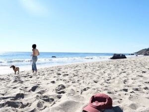 Floriana Lima Instagram - Two best friends hit the beach🤍