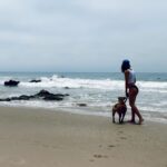 Floriana Lima Instagram - Happy #nationaldogday!