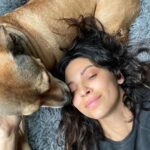 Floriana Lima Instagram - Happy #nationaldogday!