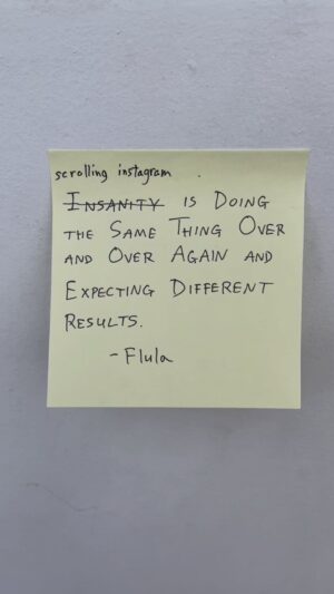 Flula Borg Instagram - fixed it!