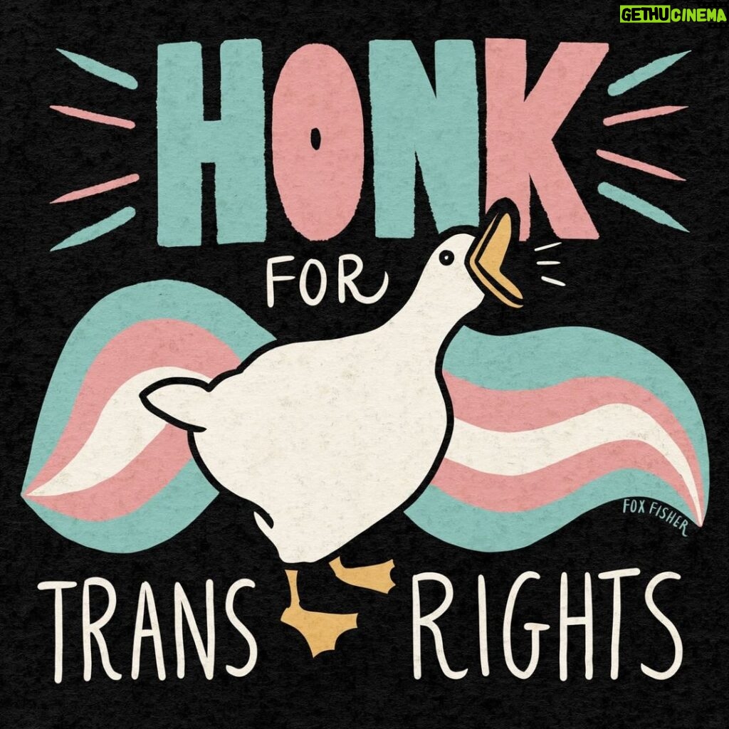 Fox Fisher Instagram - Drop a 🪿🏳️‍⚧️ for trans rights! ID: graphic image by @thefoxfisher for #mygenderation that says: Honk for trans rights #transjoyisresistance #transrightsarehumanrights #nonbinary #transliberationnow #transpride #trans #transjoy #trangenderuk #lgbtq🌈 #transgender #TransVisibility #TransRights #TransPrideBrighton #transhappinessisreal #MyGenderation #transrightsnow