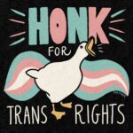 Fox Fisher Instagram – Drop a 🪿🏳️‍⚧️ for trans rights! 

ID: graphic image by @thefoxfisher for #mygenderation that says: Honk for trans rights 

#transjoyisresistance  #transrightsarehumanrights #nonbinary #transliberationnow #transpride #trans #transjoy #trangenderuk #lgbtq🌈 #transgender #TransVisibility #TransRights #TransPrideBrighton #transhappinessisreal #MyGenderation #transrightsnow