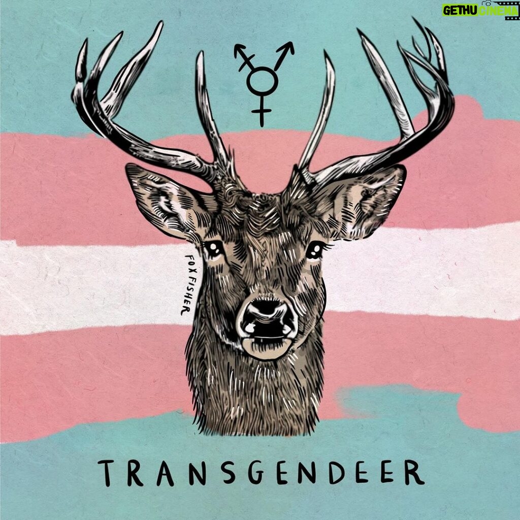 Fox Fisher Instagram - To my trans and tender siblings please embrace this pun 🏳️‍⚧️✨ 😅I hope you will all support me in this journey and respect my identity as transgendeer 🦌 I am still the same person you know and love, just with a different appearance and pronouns. Please call me Bambi from now on, and use they/them or deer/deers pronouns for me. 🙏 #trans #comingout #transgender #lgbtart #queer #pride