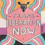 Fox Fisher Instagram - Awareness of trans issues is the key to providing support and being the change 🏳️‍⚧️✨ Happy Trans Awareness week! Read books by trans authors @jkpbooks, films from @mygenderation and donate to trans charities @mermaidsgender @mygenderation @genderedintelligence @transpridebrighton