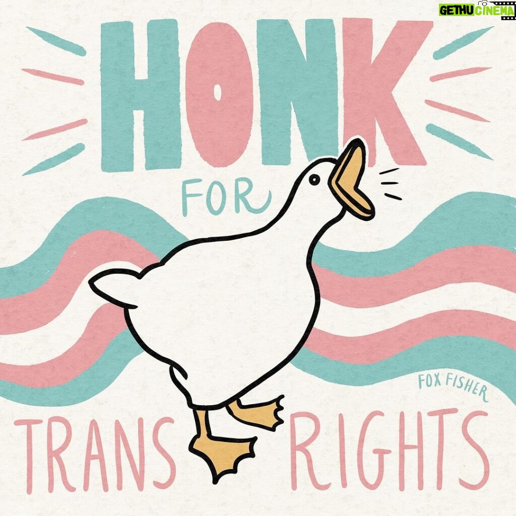 Fox Fisher Instagram - Honk if you support trans lives 🏳️‍⚧️✨ On that note, checkout the art of @nug00seillustrations who is a disabled trans artist who creates goose themed paintings. #trans #transartist #lgbtart #queerartist #nonbinary