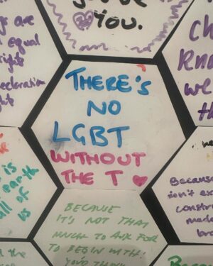 Fox Fisher Instagram - Trans and non-binary people are not a threat to anyone else’s identity (and deserve to thrive) 🏳️‍⚧️✨ Add to this wall at @queerbritain 

#trans #lgbtqia #transrights #nonbinary #queer