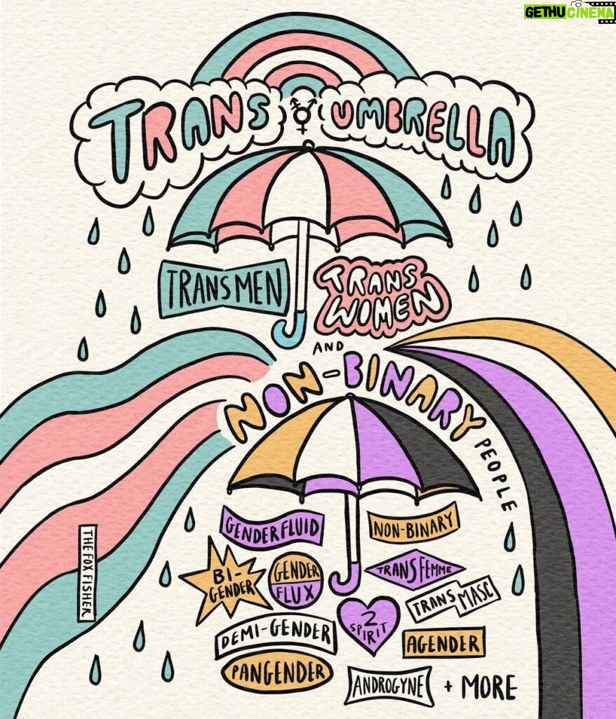 Fox Fisher Instagram - Under our umbrella-ella-ella eh? 🏳️‍⚧️🌟 This lil illustration shows what’s under the trans and/or non-binary umbrella. I spoke with a person who came out as Agender recently and they were in tears about what a relief it was to find a word that fits and to be able to tell others. This is so true for me too, with discovering the term genderqueer, non-binary and trans masc. I’d love to hear about your journey to self discovery in the comments 💜 #trans #transgender #nonbinarypride #pridemonth #HPPrintables