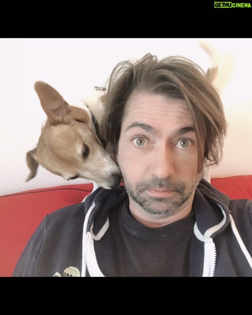 Francesco Apolloni Instagram - Un cane 🐶 ti ama incondizionatamente ... un cane ti salva la vita ... un cane ti insegna tate cose ... un cane ti lava le orecchie 👂 #dog #jackrussell #love