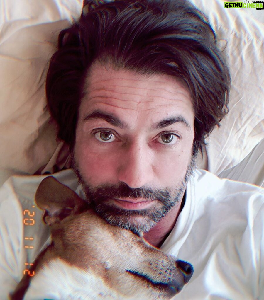 Francesco Apolloni Instagram - True love 💓 🐶 #jackrussell #dogs #dogsofinstagram #loveyou