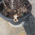 Frankie Boyle Instagram - If you’re a baby who has lost your banging looking teething ring in Dublin, Ive put it here outside the Minima.