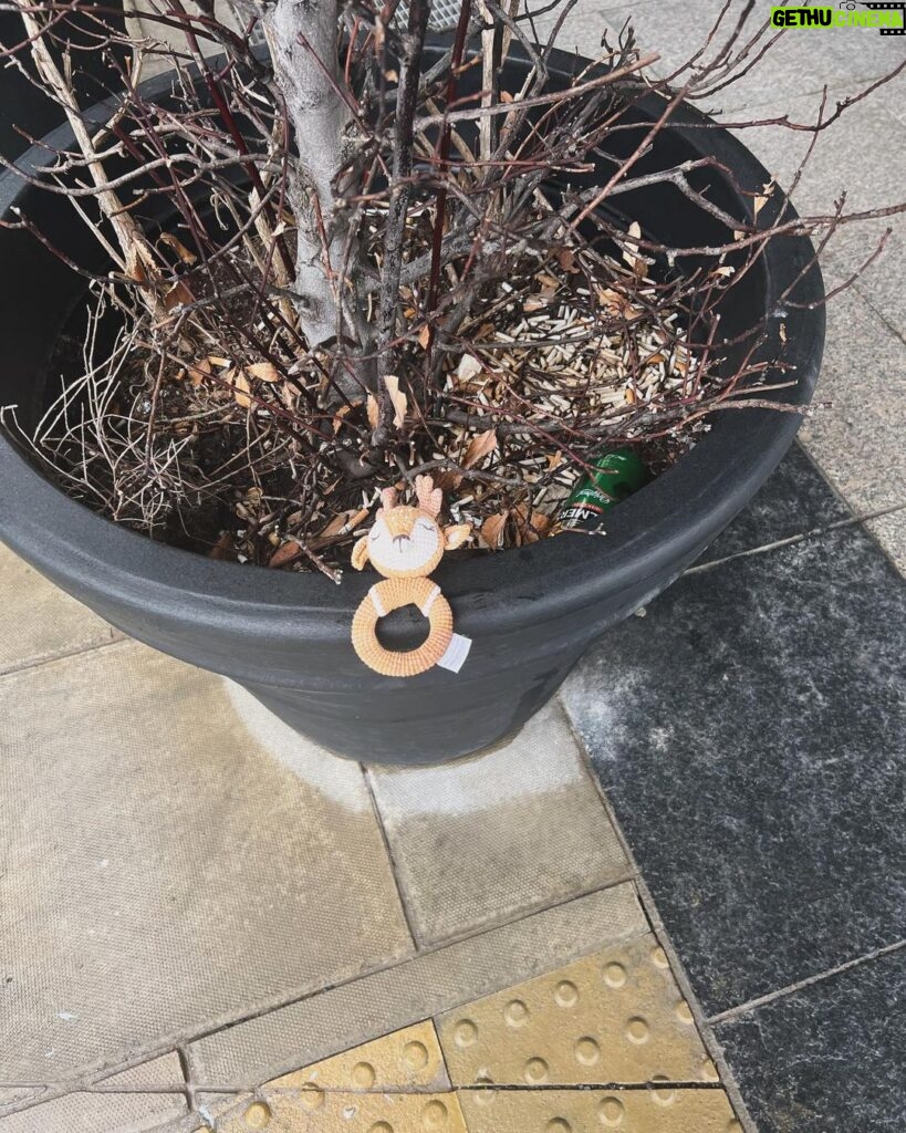 Frankie Boyle Instagram - If you’re a baby who has lost your banging looking teething ring in Dublin, Ive put it here outside the Minima.