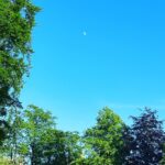 Frankie Boyle Instagram - When The Moon is visible during the day it is called The Min. That’s the kind of false information I have fed my children from day one.