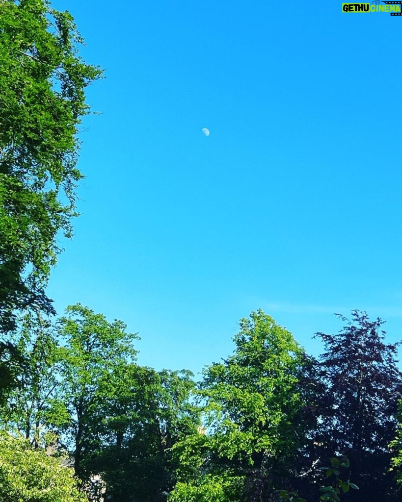 Frankie Boyle Instagram - When The Moon is visible during the day it is called The Min. That’s the kind of false information I have fed my children from day one.