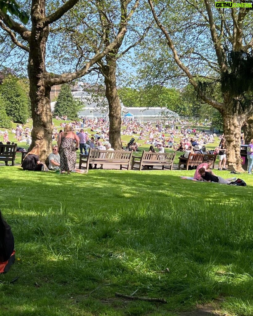 Frankie Boyle Instagram - Thronged in the park. Was fun in Covid when you could moan about this sort of scene for reasons other than your brutal misanthropy