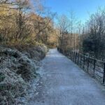 Frankie Boyle Instagram - A beautiful frosty day in Glasgow. Did yoga in my jumper this morning.
