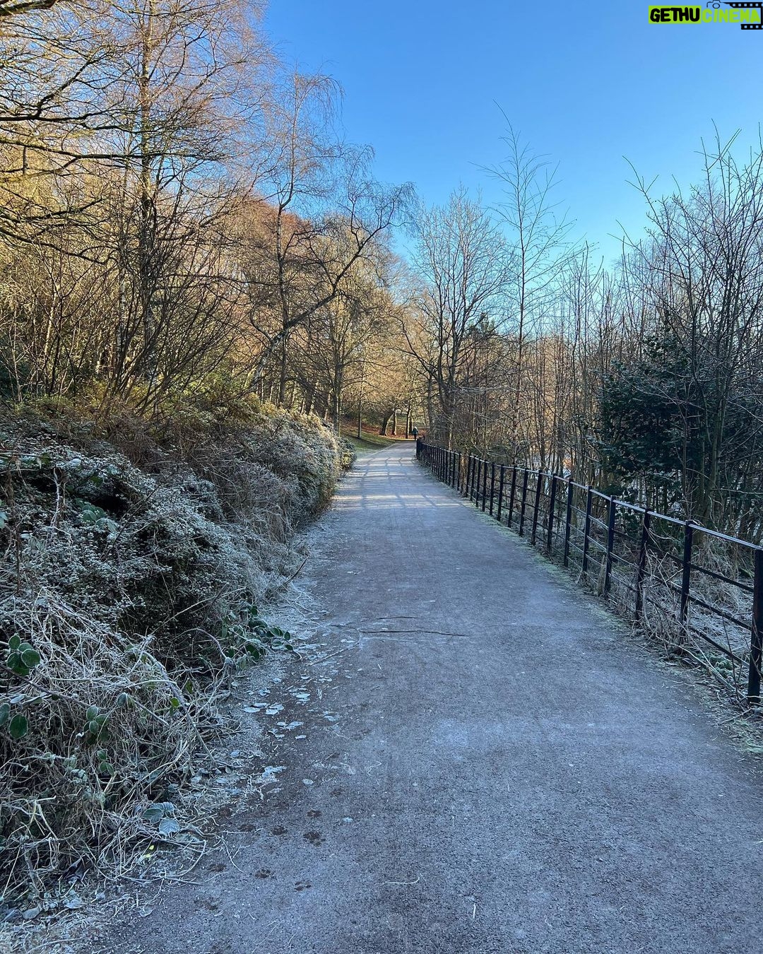 Frankie Boyle Instagram - A beautiful frosty day in Glasgow. Did yoga in my jumper this morning.