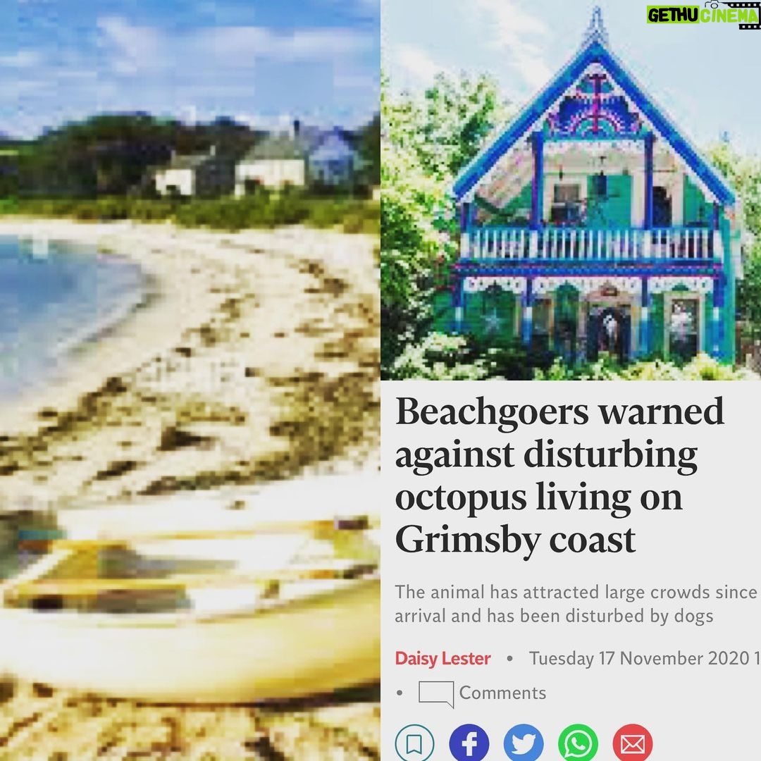 Frankie Boyle Instagram - I think a couple of people felt my selection of Grimsby images was too negative. Was not my intention, a bonnie town in many ways, and I’m from Glasgow. Have tried again with new selection of images.