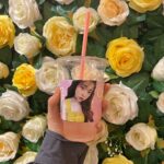 Fukutomi Tsuki Instagram – 2020.9.21
昨日GETしたカップホルダー♡
明日22日までもらえるのでよかったら行ってみて下さいね!
鶴橋は可愛いカフェが沢山( ; ; )
そして20日は可愛いいとこの誕生日でした♡
私とお揃いのジャージをゲットして、テンションアゲアゲで写真撮ってくれました🤣
喜んでくれてうれしい😭
そしてまた皆さんに会える素敵な機会が訪れますように💗
プレゼント大切に使わせて頂きます🙇♀️
有り難うございました♡
2020.9.21
어제 GET한 컵 홀더 ♡
내일 22일까지 받으실수있어요!
괜찮으시다면 카페로 가서 봐주세요!
오사카 츠루하시에는 예쁜 카페가 많이 있어요 ( ; ; )
그리고 20일에는 귀여운 사촌동생의 생일이였습니다 ♡
저와 같은 운동복을 입고 사진 찍었습니다 🤣
기뻐해줘서 저도 기뻐요 😭
그리고 선물 소중히 잘 쓰겠습니다 🙇
감사합니다 ♡