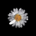 G-Dragon Instagram - A New chapter, 1221 #Guardians_of_Daisy @juspeace_foundation @galaxycorporation.official