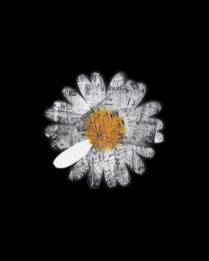 G-Dragon Instagram - A New chapter, 1221 #Guardians_of_Daisy
@juspeace_foundation @galaxycorporation.official