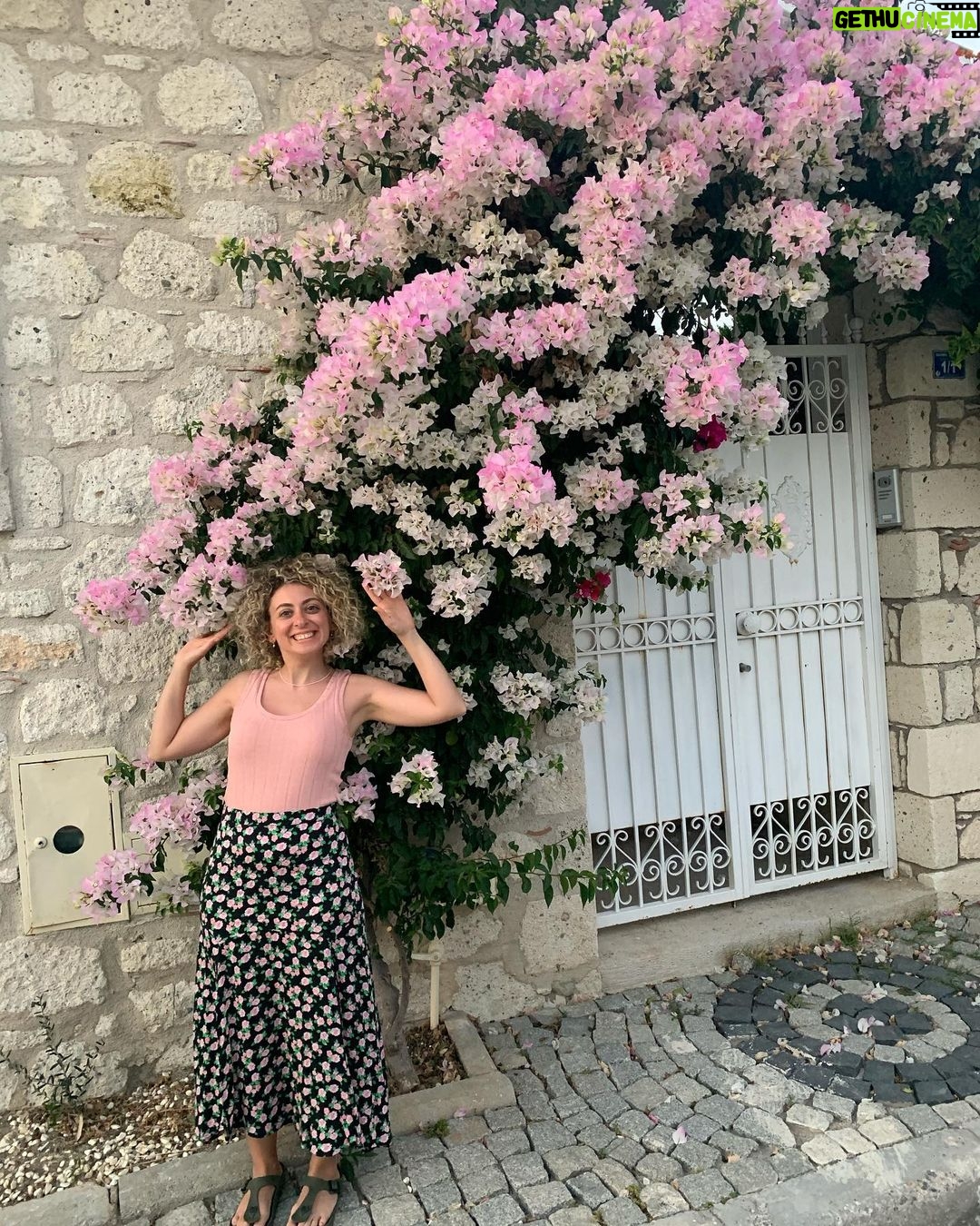 Gözde Şencan - 4.2K Likes - 🌸