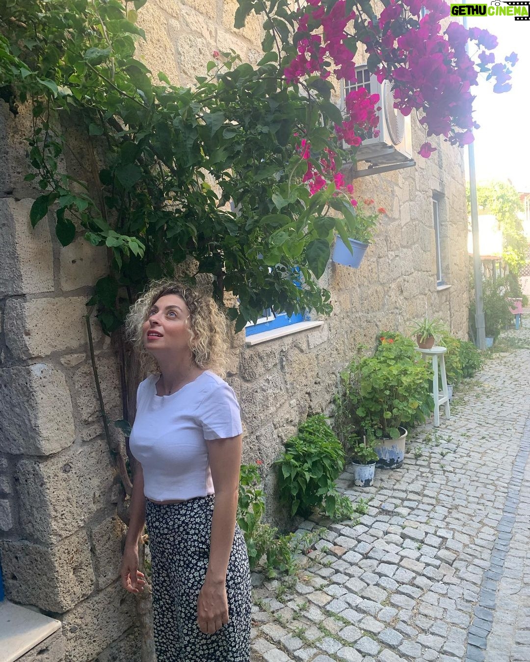 Gözde Şencan - 4.9K Likes - 🌺👀
