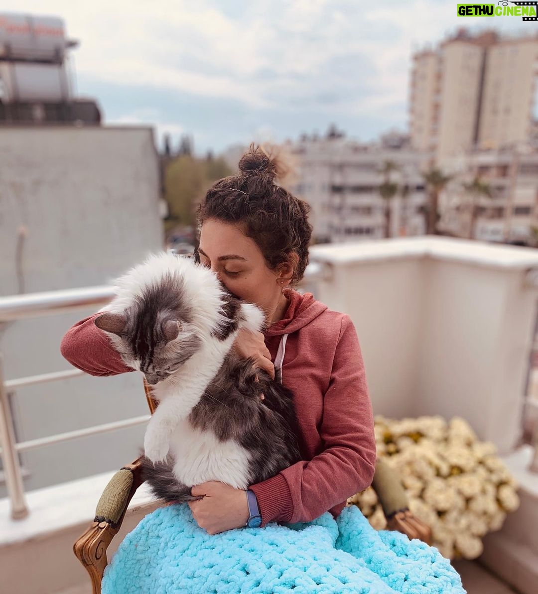 Gözde Şencan - 3.5K Likes - 🌸🍀