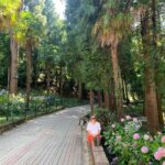 Gözde Şencan Instagram - 🌳🌸🌳🌼