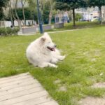 Gözde Şencan Instagram –