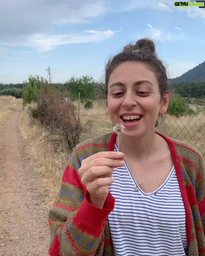 Gözde Şencan - 3.5K Likes - uzak bi zaman #tbt si 😊 #karahindiba 🌱 #şaşı