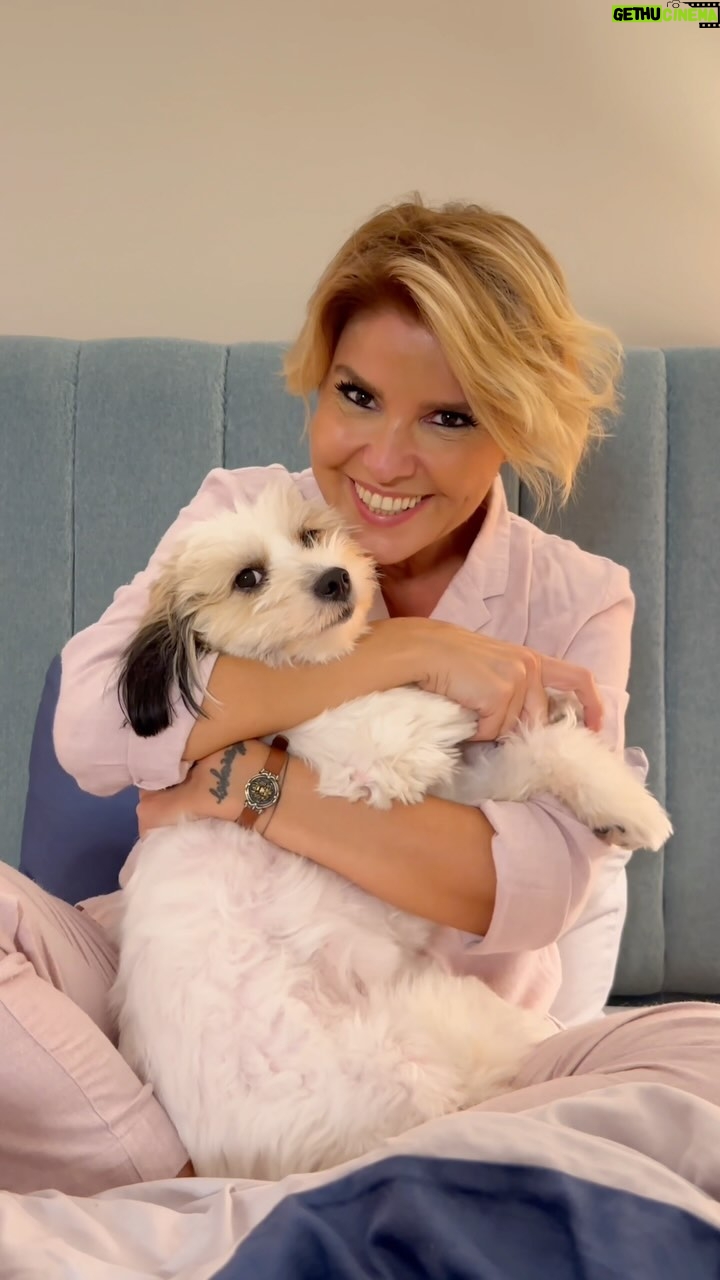 Gülben Ergen - 108.1K Likes - Yatmadan önce ne mi yapıyoruz?
Buyrun biz 🐶
#gonca #gülben ikilisi♥️