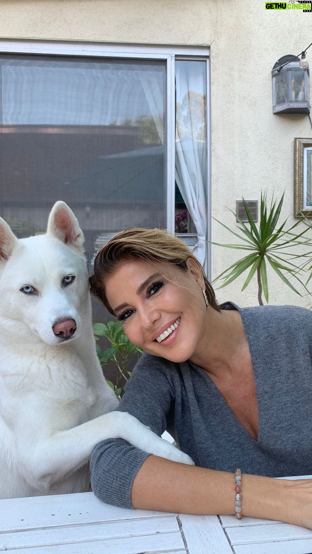Gülben Ergen Instagram - Dallas ile başlayıp, Losangeles ile devam eden #cumhuriyet in 100.Yıl kutlamaları kapsamındaki konserlerimize döner dönmez Antalya’da devam edeceğim🇹🇷 Amerika’da yaşayan #Türk vatandaşlarımızı, dostlarımı böylesine özenli hazırlandıkları, değer verdikleri için hiç unutmayacağım 🇹🇷 Cumhuriyetimizin 100.Yılında, Amerika da böylesine müthiş iki baloda sahne alarak kutlamak gurur vericiydi🇹🇷 Dallas’ta @bridge2turkiye ile tanışmak❤️ @sadumang @turksotx @livedreammore @atasc_sd ile elele vermek❤️@cocuklargulsundiye ülkemize fayda sağlamak muhteşemdi🇹🇷 Not: Pilav ile fotoğraf ve türk kahvesi için teşekkürler canım @sinemaltin @rahmanaltin Hollywood, California