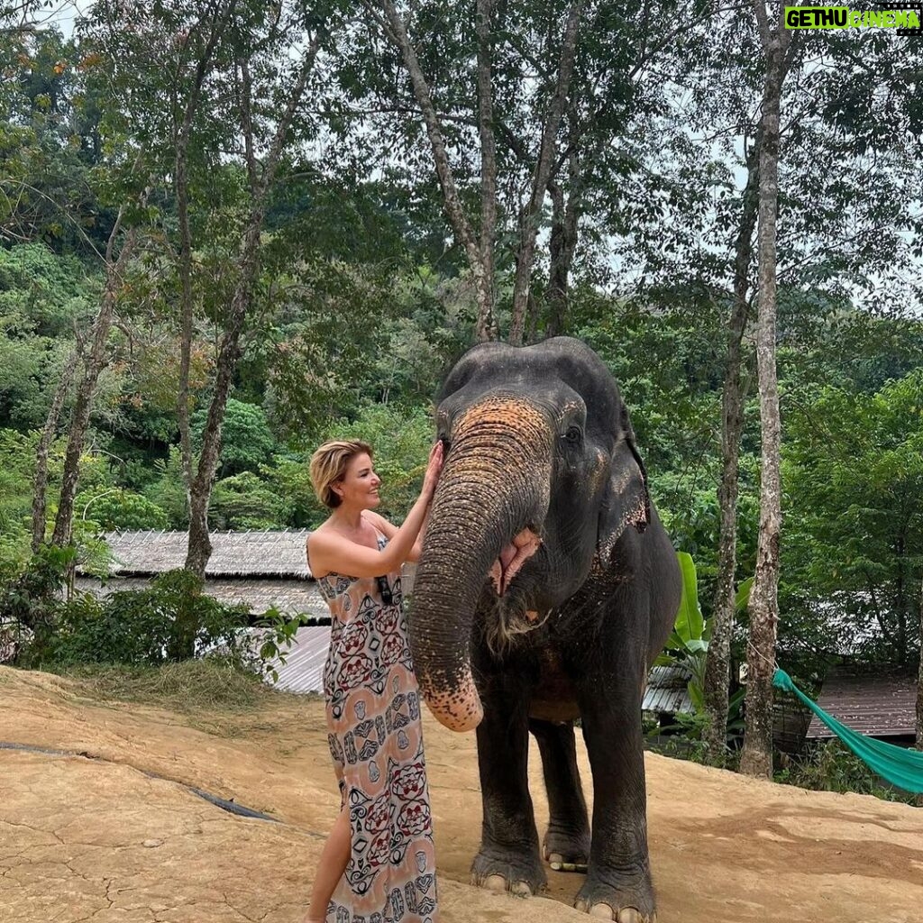Gülben Ergen Instagram - 🐘 ☀🐘 Phuket Elephant Care