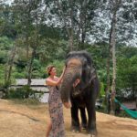 Gülben Ergen Instagram - 🐘 ☀️🐘 Phuket Elephant Care