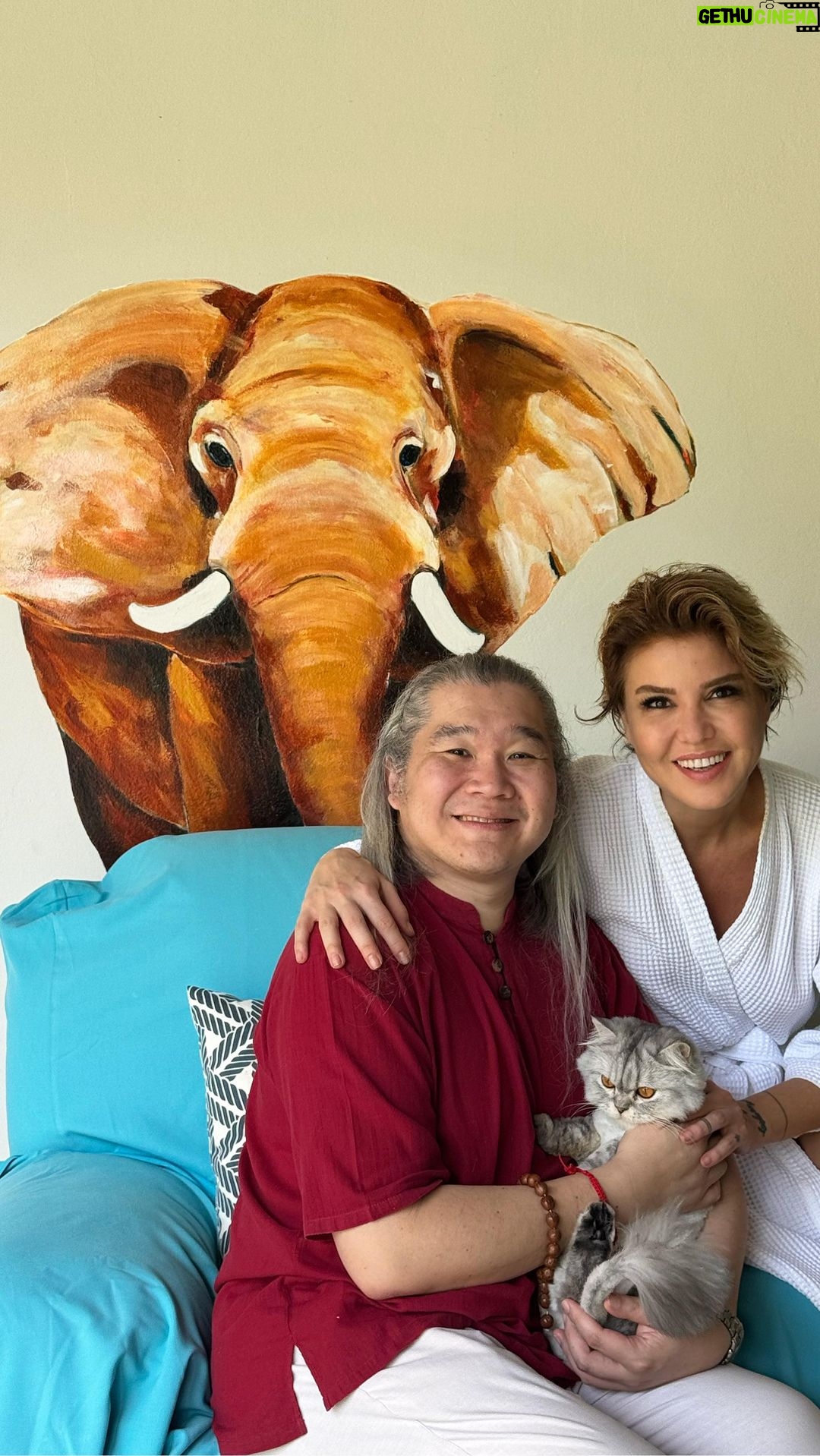Gülben Ergen Instagram - Kendimi “ben kalkmaya çalışmaktan, düşmeyi bilmiyorum ki” derken duydum. Şimdi sadece ben varım burda. Ne zormuş benim yaşamımda bu. Ne sancılıymış buna cesaret etmek. Neden sadece kendi için bi şey yapmaz derdini içine gömen kadınlar? Neden bitmeyen iç hesaplaşmaların sonunda “mış gibi” yaşamaya ve üstün bir çaba ile kendi kırıklarımızı örtmeye çalışırız. Üzülmemiş, kırılmamış, canı yanmamış gibi… İzlediğim @gokhanncinar videoları Katıldığım @katarsistv yayını nefes aldığım 50 yılımı bastırmak yerine dönüştürebilen birisi olmamı sağlıyor. TheLifeCo Wellbeing