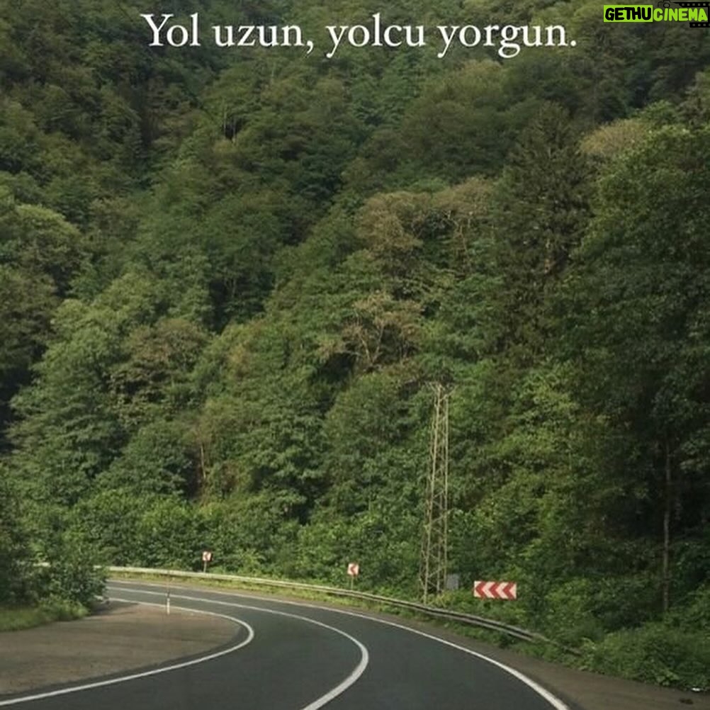 Gülben Ergen Instagram - Beslenmenin önemi hayatımızın o kadar önemli ve büyük bir dilimini kapsıyor ki… Çiğ yemek Çay kahve alışkanlığını frenlemek. Çorba ve su içmeyi çoğaltmak. Un Şeker ikilisinden uzak durmak. Phuket #TheLifeCo ailesine kendime ayırdığım bu beş gün için çok teşekkür ederim 🥒🥦🥕🥗🥥🥭🍋