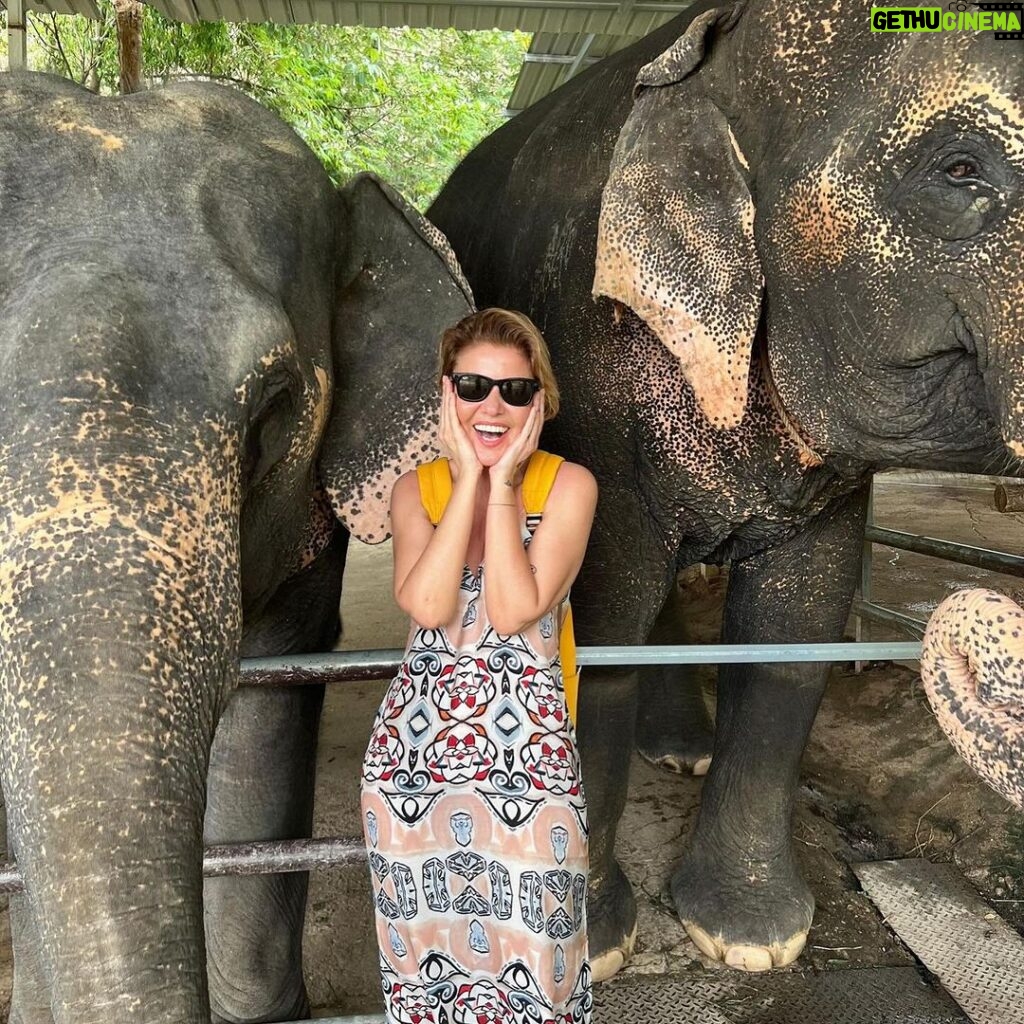 Gülben Ergen Instagram - 🐘 ☀️🐘 Phuket Elephant Care