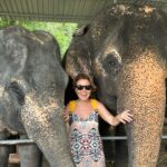 Gülben Ergen Instagram - 🐘 ☀️🐘 Phuket Elephant Care