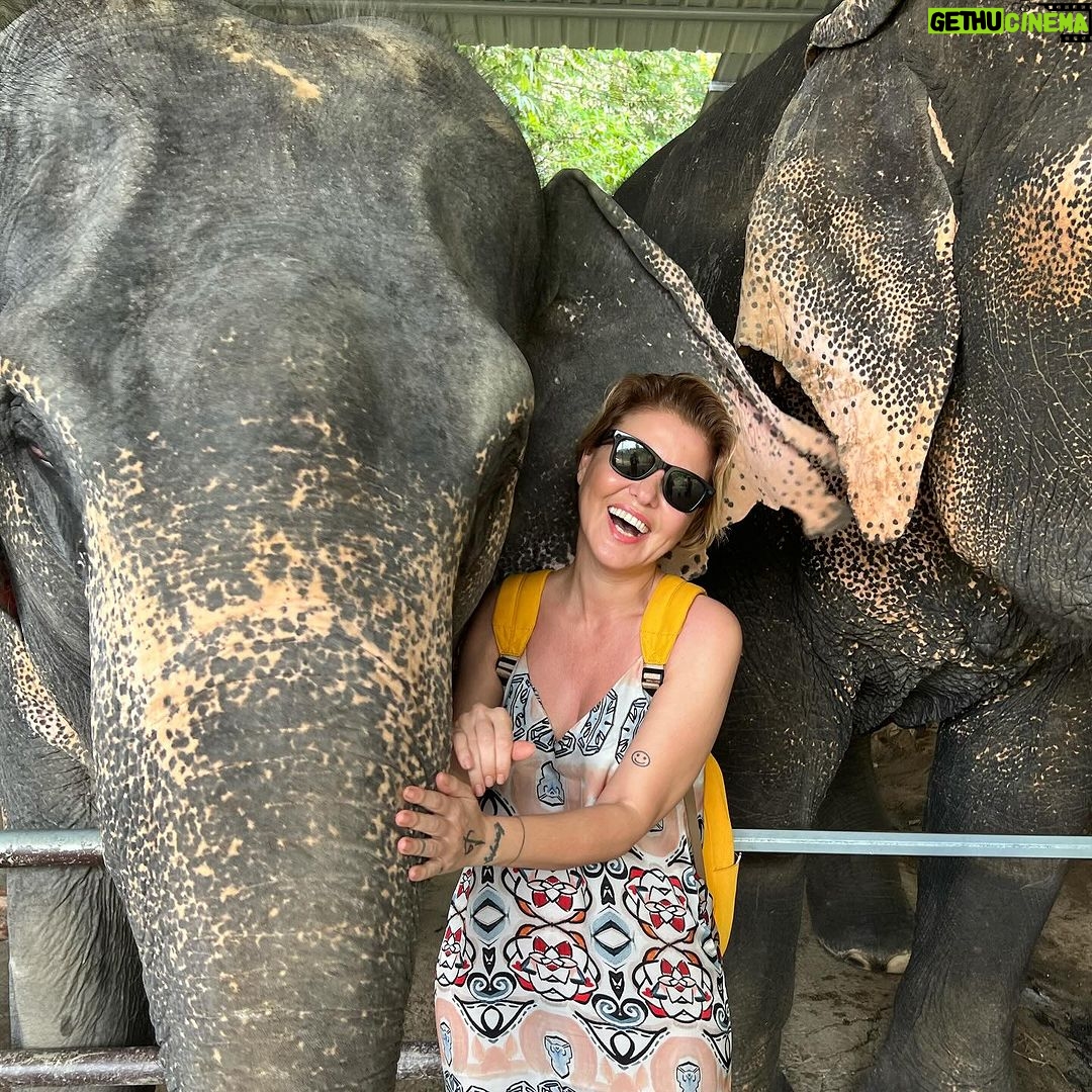 Gülben Ergen Instagram - 🐘 ☀️🐘 Phuket Elephant Care