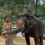 Gülben Ergen Instagram - 🐘 ☀️🐘 Phuket Elephant Care