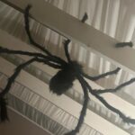 Gabe Lopez Instagram - #halloween part 1 - ‘Twas the season. @horrornights @lahauntedhayride #halloweenhorrornights #lahauntedhayride #hauntedhayride #westhollywood 😀🎃🌟👻💀👺🧌❤️👻💀🎃🎃 Los Angeles/Hollywood California