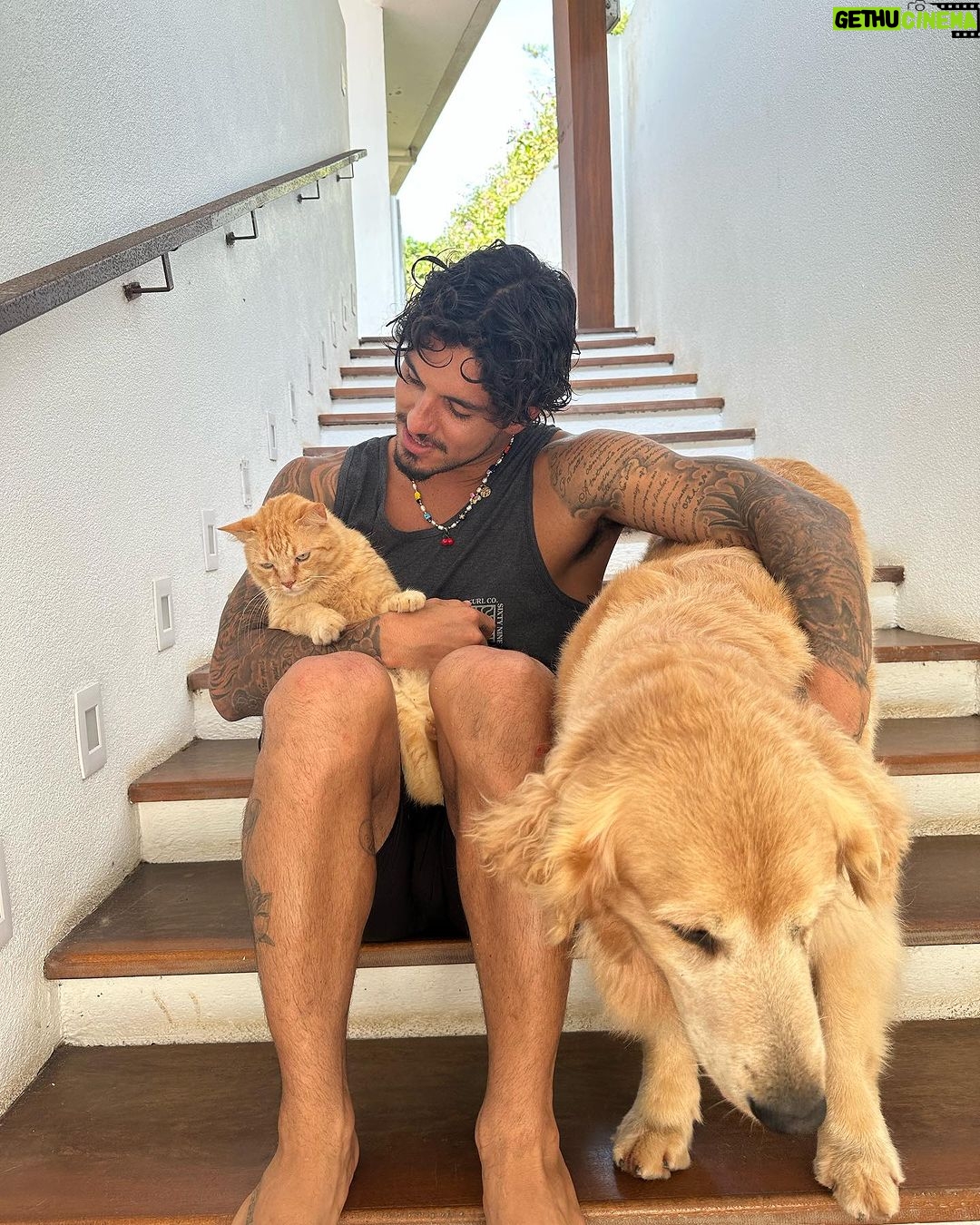 Gabriel Medina Instagram - 🐶 🐈 #zoo Maresias, Sao Paulo, Brazil