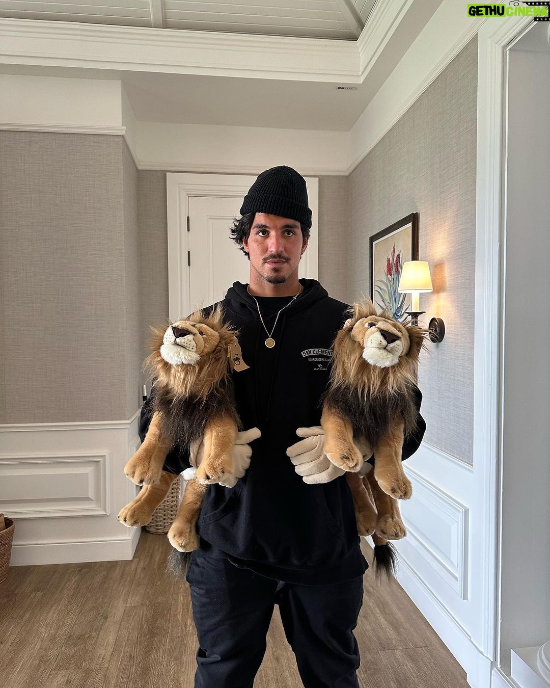 Gabriel Medina Instagram - Vivao e vivendo ... 🦊🐯🙈🦏🦣🐅 #ObrigadoPapaiDoCeu Safari South Africa