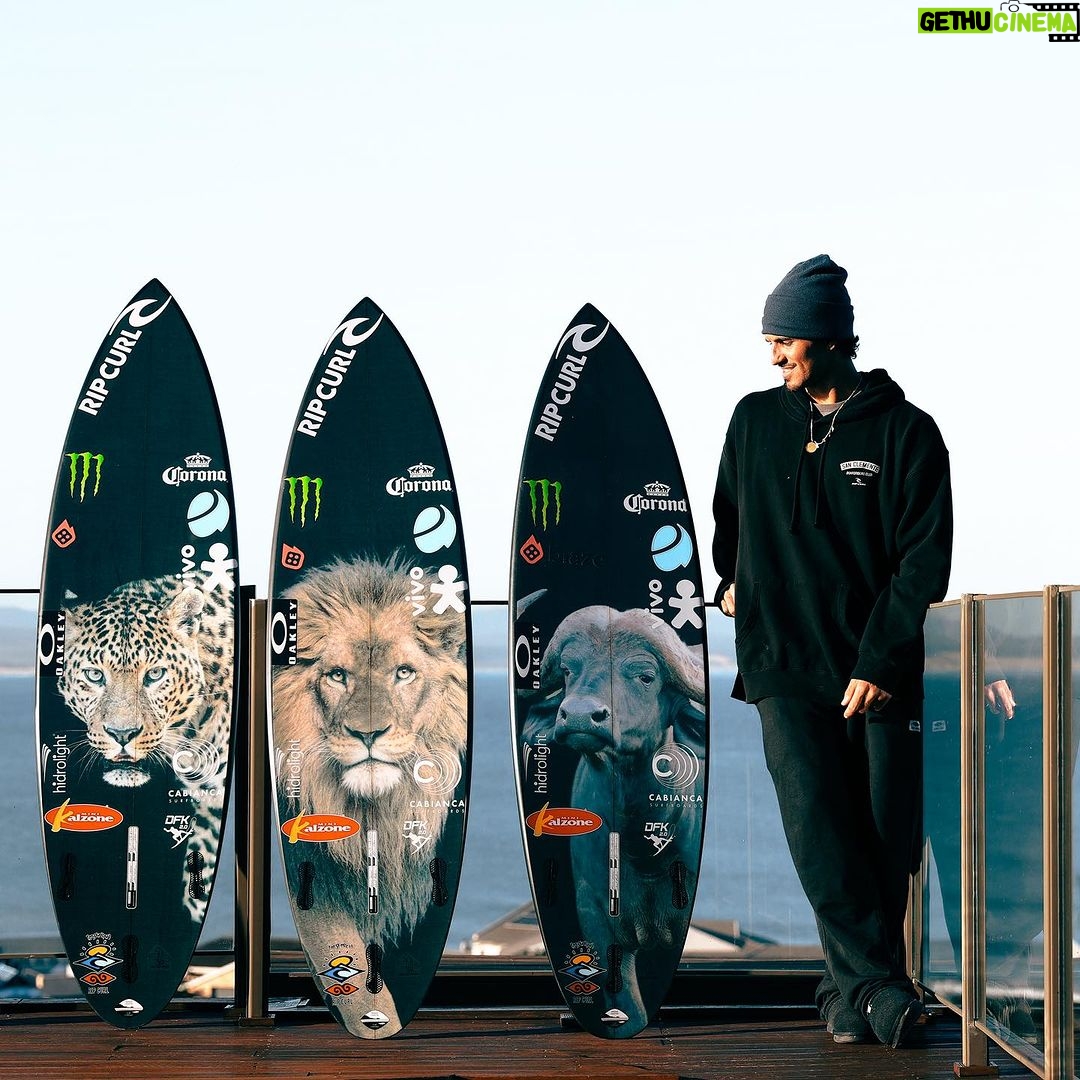 Gabriel Medina Instagram - Pets ready π― π¦ 𦬠π¦ = πΏπ¦ @cabiancadesign JBay